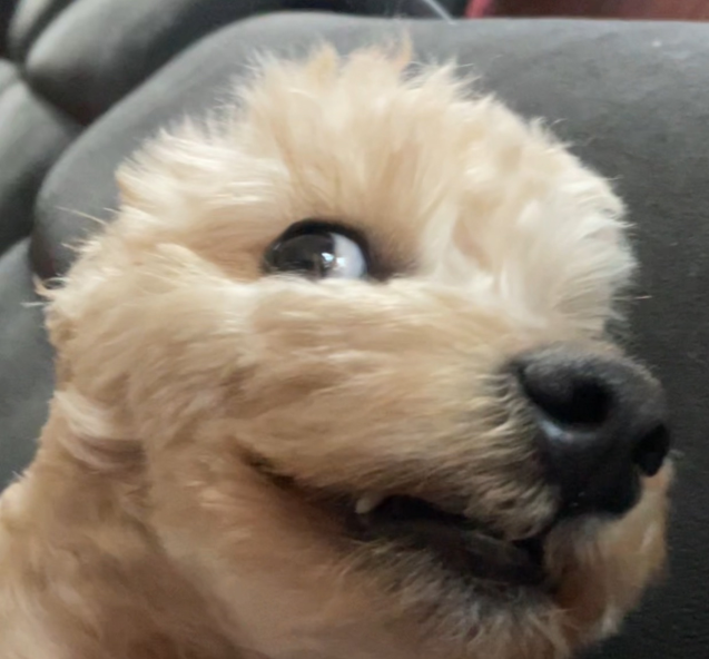 Avatar 39